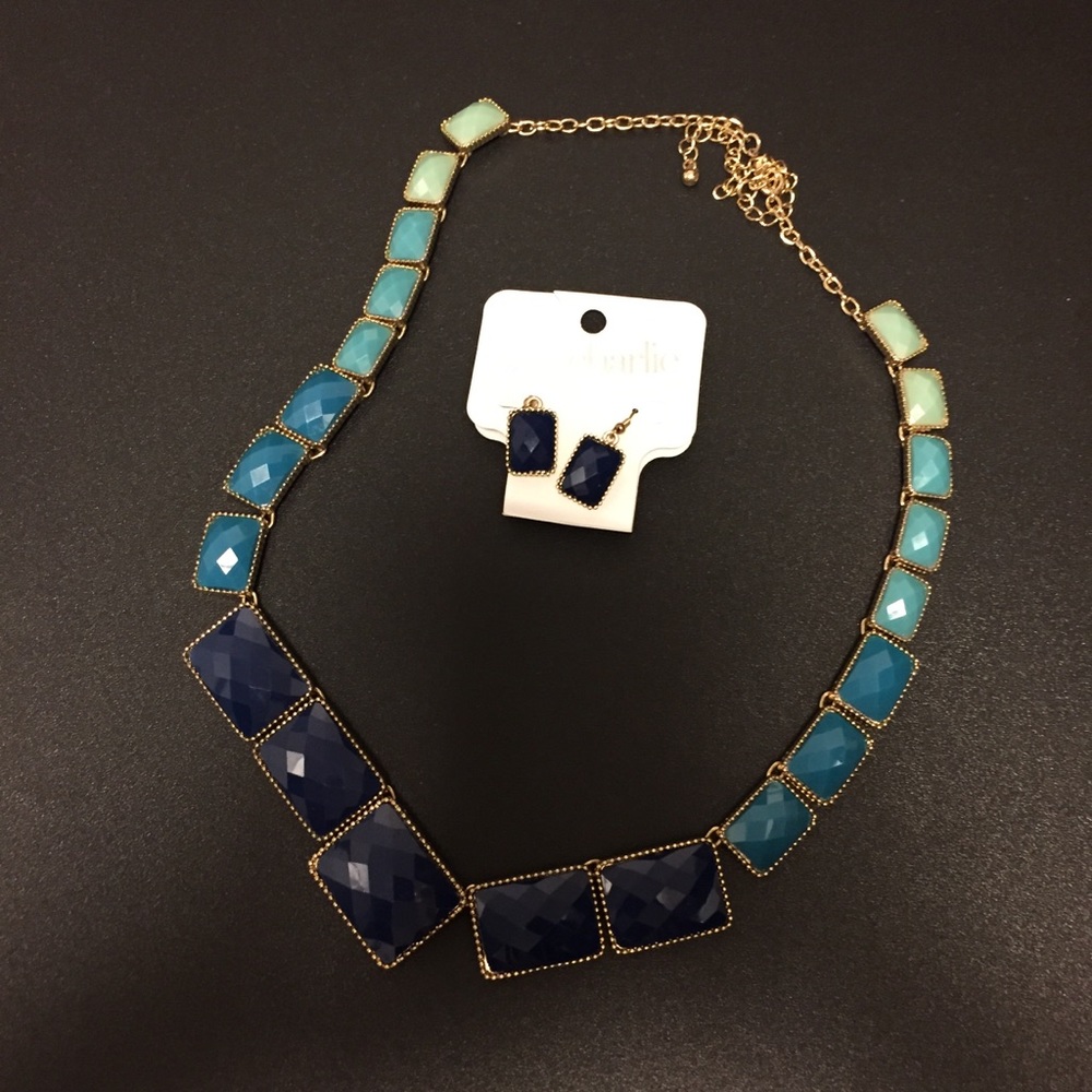 Charming Charlie’s Necklace Set